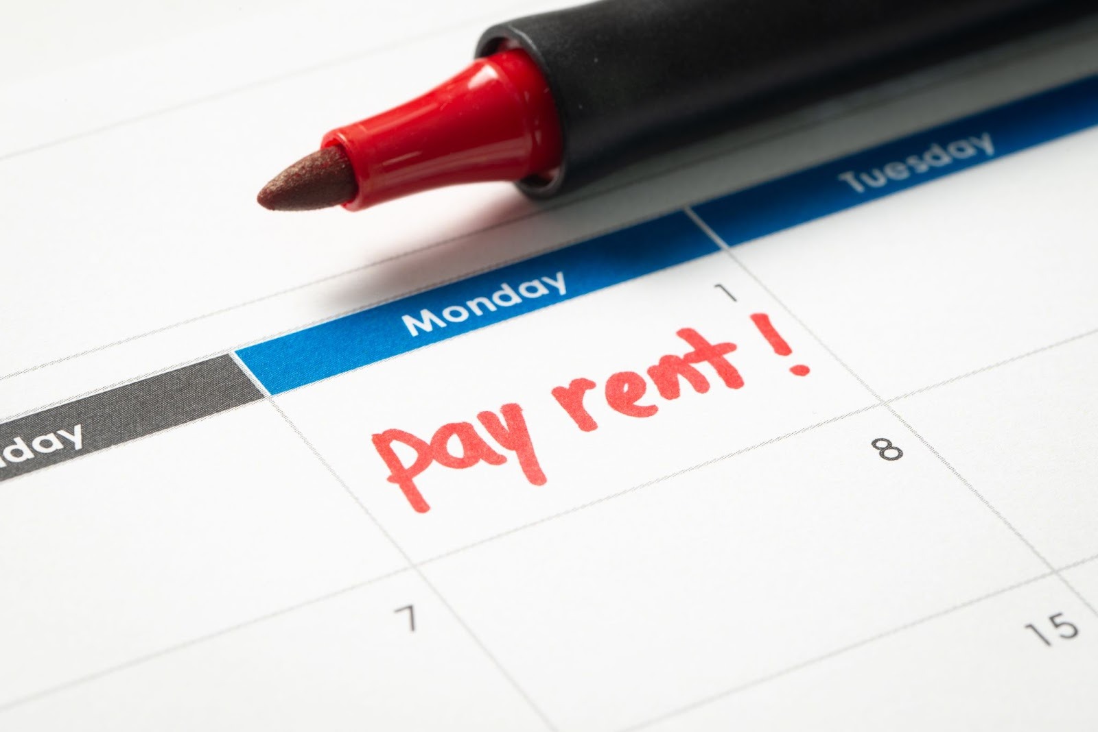 Understanding Rental Agreements: Key Points for Renters